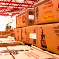 13. Almacen y Empaquetado
